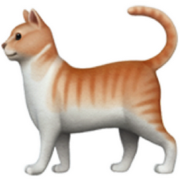 member portrait